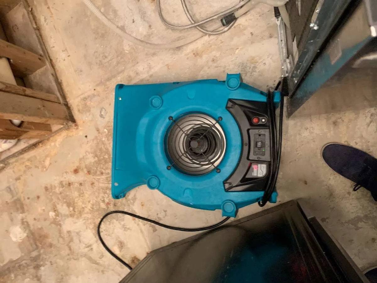 Air mover drying equipment for Mold Remediation & Removal in Portage